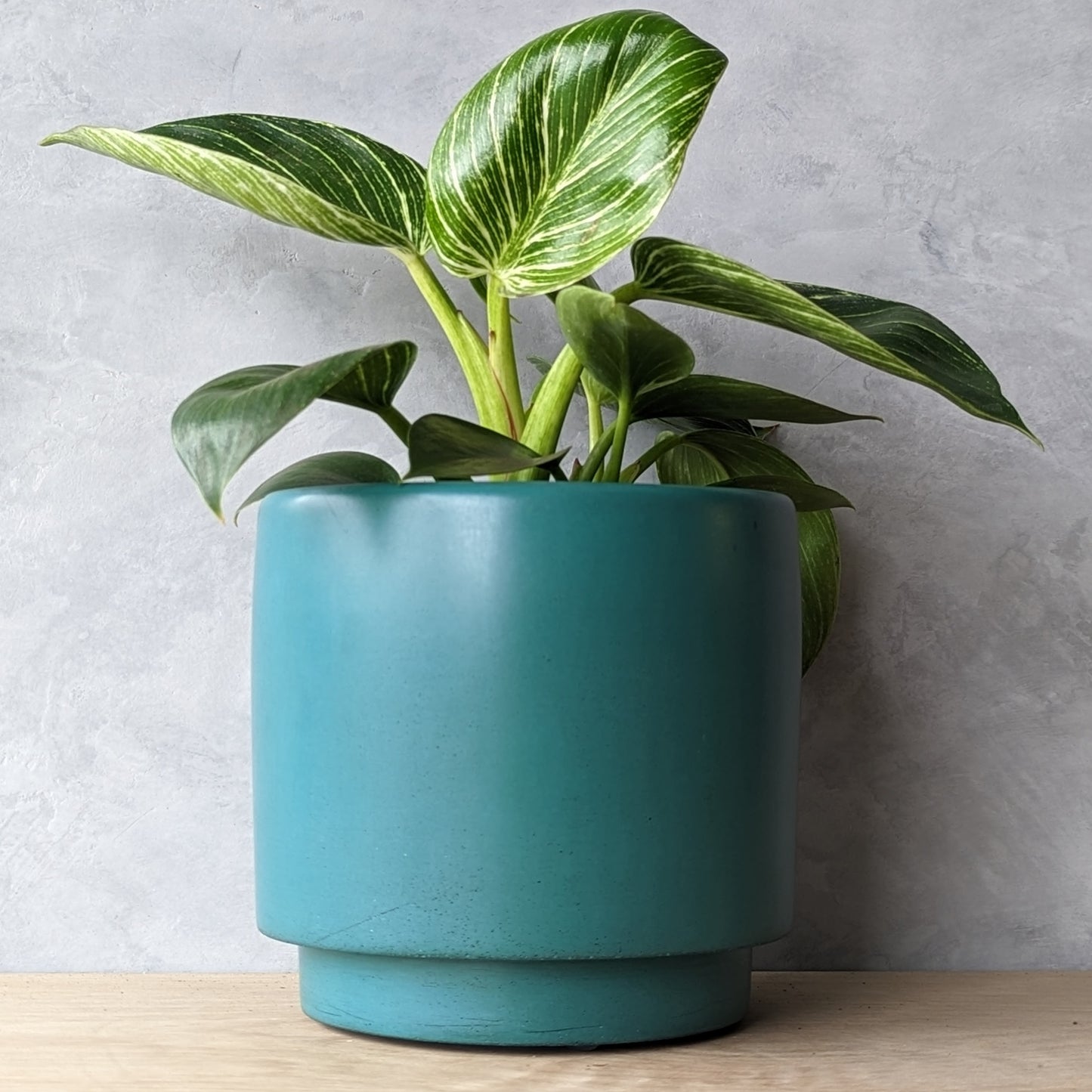 4" Concrete Planter with Drain hole