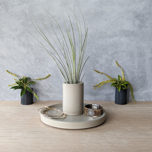 7.5" Round Concrete Tray