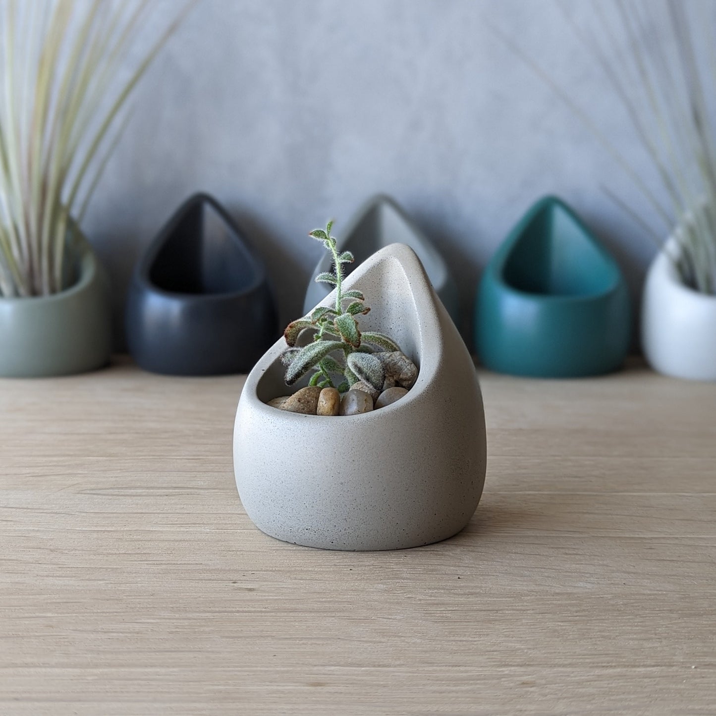 Concrete Vessel for Small plants or Catchall