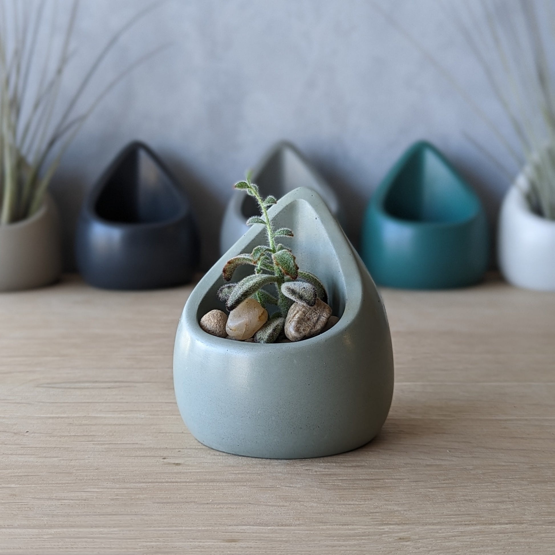 Concrete Vessel for Small plants or Catchall