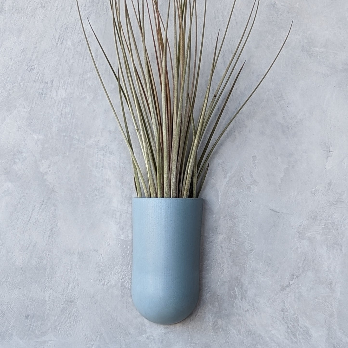 Concrete Wall-Mounted Air Plant Holder
